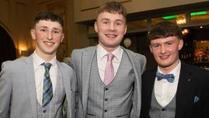 IN PICTURES: Rosenallis GAA host stylish dinner dance