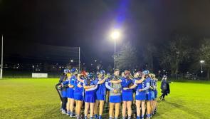 Laois Camogie side beaten in the league by Derry