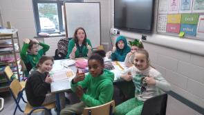 WATCH: Story of an amazing low carbon transformation of Laois school 