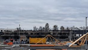 'Mickey Mouse' housing scheme to provide 'minuscule’ number of Laois homes Dáil told