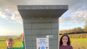Laois children appear on RTE 1 after shutting their charity honesty box over thefts