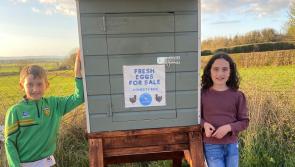 Community reaction 'brilliant' after eggs and honesty box stolen on children in Laois