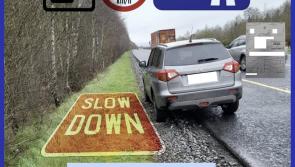 A motorist has been arrested for dangerous driving in Laois