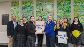 Generous Daffodil Day donors thanked by Portlaoise committee 