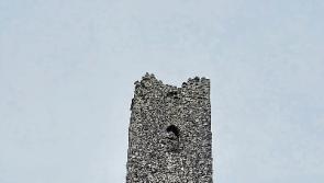 Laois projects secure over €150,000 in funding