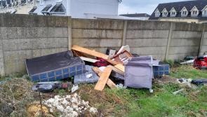 Dumping in Laois town's housing estate called out as 'criminal'