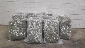 Big haul of cannabis including drug jellies seized in Athy