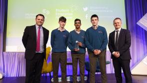 GAA-themed Laois student hurling  business makes podium in national awards