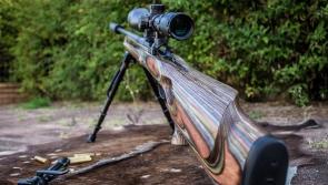 Deer cull in the pipeline as new survey finds big demand for action