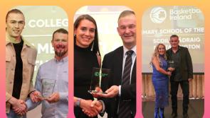 IN PICTURES: Laois scoops six awards as Basketball Ireland host annual awards night