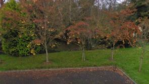 Council seek to dredge Portlaoise lake