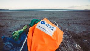 Free clean-up kits for land-locked Laois volunteers to stop sea pollution