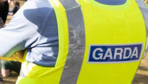 Woman finds raiders in her house as she arrives home