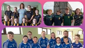IN PICTURES: Laois kids show their creative talent at GAA Scór na bPáistí