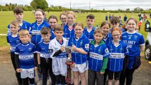 Laois GAA club on the lookout for club's Fittest Family 