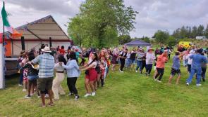 Laois brewery farm hosts Irish South Africa day