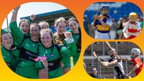 In PICTURES: Super Laois children star in hurling and camogie finals at Laois GAA HQ