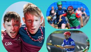 In PICTURES: Superstars of Laois hurling and camogie shine in Laois GAA HQ