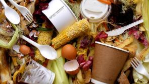 Get a free gift during Laois reduce food waste week