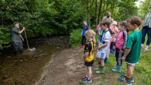Laois lags behind in tapping into €2.7 m biodiversity pot