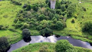 Laois features in new book on the great Grand Canal