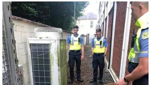 'Quack' reaction in Portlaoise as ducklings rescued Leinster Council GAA offices