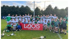 Goals prove key as Portlaoise crowned Division 2 hurling champions 
