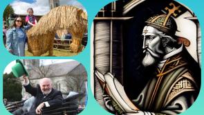 Memorial to be unveiled to Ireland's only Pope who hailed from from Laois