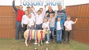 Rescheduled Ossory Agricultural Show all set for Sunday