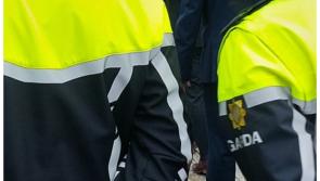 Laois Gardai arrest man and seize imitation handgun