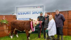 IN PICTURES: Great range of exhibitions and stock at Ossory Show in Laois 