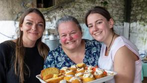 IN PICTURES: Check out all the fun at the Fête in Laois