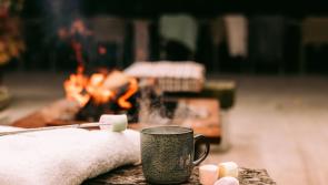 Luxury Laois period house to host unique  fireside musical evenings