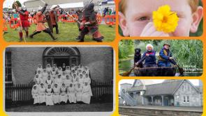 Laois Libraries have lots to do during Heritage Week