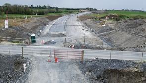 Ancient Laois life unearthed by road building paints new picture of the past
