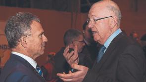 Laois Government TD warns of voter 'backlash' over byelection kite