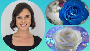 'Up Laois' - Cullohill's New Yorker introduces herself to the Rose of Tralee world