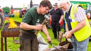 Tullamore Show is a great coming together of country and town