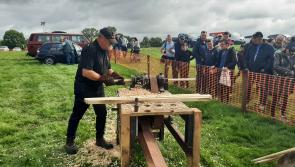 Laois man came, saw and conquered at the Tullamore Show
