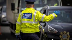 Extra speed cameras to be deployed as gardai confirm counties with most road fatalities