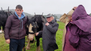 WATCH: 'The weather won't put you off' - President Michael D Higgins at National Ploughing Championships