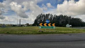 Long grass at Midlands roundabouts is 'dangerous'