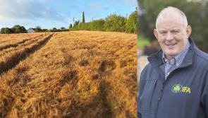 Laois IFA man demands help for tillage farmers after 'disaster year'