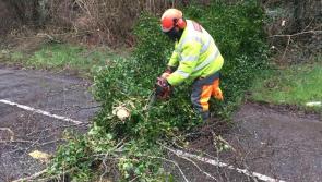 Storm Agnes downs trees and causes flooding around Laois