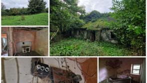 PROPERTY WATCH: Ultimate Laois fixer-upper could be a cash boost for buyers