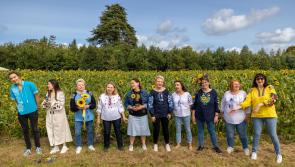 Big jump in Ukrainian refugee arrivals to Laois since summer 