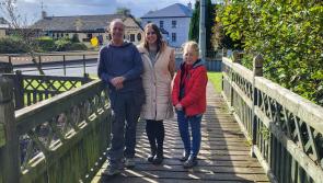 Busy Laois bridge to stop 'waving in the wind' 