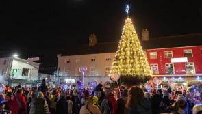 Lack of money for Laois town's traditional Christmas tree