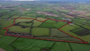 Local farmer snaps up Midlands house and farm €1.4 m