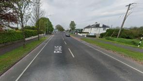 Massive Portlaoise estate plans appealed to An Bord Pleanala